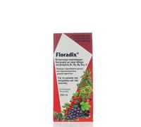 Formule liquide Floradix fer et vitamine fatigue 250 ml - LIVRAISON GRATUITE