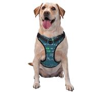Formule mathématique imprimée,Harnais pour Animaux de Compagnie, Harnais réfléchissant réglable pour Chien,S