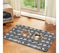 Formule mathématique Physique,Tapis d'alimentation imperméable pour Animaux de Compagnie, Sets de Table pour Chats et Chiens pour la Nourriture et l'eau, Tapis de Nourriture en Cuir PU,40x60cm