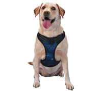 Formules de Physique mathématique et de Chimie Brillantes,Harnais pour Animaux de Compagnie, Harnais réfléchissant réglable pour Chien,L