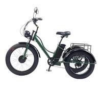 forplubossmmp Tricycle Cargo À Pneus Larges De 24 Pouces, Pack Mobilité Senior avec Klaxon Et Rétroviseurs, Batterie 48 V 15 Ah Longue Durée, Phare Avant À Écran LCD, pour Adultes Green