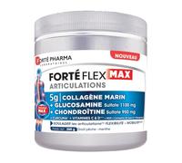 Forté Pharma Complément articulations Forté Flex Max Poudre 260g