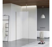 Fortifura Galeria Douche à l'italienne - 180x200cm - Verre dépoli - Bras plafond - Inox brossé SW797933/SW797908/SW804544