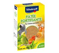 Fortifying Honey Paste100 g