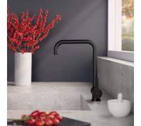 Fortis Brera window Mitigeur de cuisine pivotant, montage devant une fenêtre, 7858200MB,