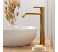 Fortis Bria Mitigeur de lavabo grand format avec corps surélevé, T2205002BG,