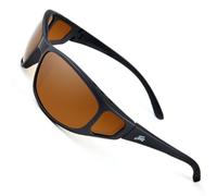 Fortis Eyewear stratifiées, noir