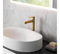 Fortis Lica Mitigeur de lavabo grand format avec corps surélevé, 18205002BG,