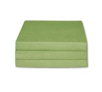 FORTISLINE Matelas d'appoint Pliant lit d'appoint lit d'invité futon Pouf 180x65x7 cm Couleur Vert