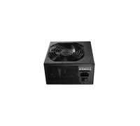 FSP HP2-600 unité d'alimentation d'énergie 600 W 24-pin ATX ATX Noir