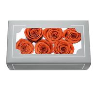 FORTTS Tête de rose préservée de qualité A de 5 à 6 cm, vraies roses éternelles naturelles de qualité supérieure, rose immortelle dure 3 à 5 ans pour la fête des mères, la Saint-Valentin, un