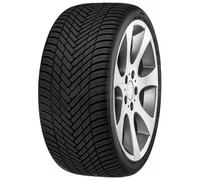 FORTUNA 225/55 R17 TL 101W ECOPLUS2 4S XL BSW M+S 3PMSF - Pneu toutes saisons