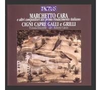 Fortuna Ensemble/Marchetto Cara by Fortuna Ensemble (2011-11-11)