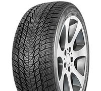 FORTUNA Pneu hiver 225/55 R 19 TL 99V WINTER SUV2 M+S 3PMSF