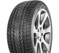 FORTUNA WINTER SUV2 225/55R19 99V