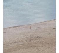 Fortunato Durutti Marinetti - Eight Waves In Search Of An Ocean [Vinyl Lp]