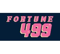 Fortune-499 (PC)