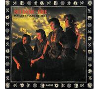 Fortune Favours The Brave [Vinyl Single 7'']