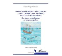 Fortunes de mer et sauvetages dans la mer des Caraïbes du XVIe au XVIIIe siècle: Des épaves et des hommes au temps des galions