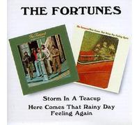 Fortunes - Storm in a Teacup/Here Comes T