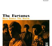 Fortunes, the - Here Comes The Storm [Import]