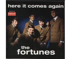 Fortunes,the - Here It Comes Again