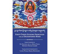 Forty-Three Guiding Principles for an Enlightened Mind