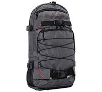 Forvert Louis 20l Backpack Gris