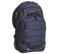 Forvert Louis 20l Backpack Bleu