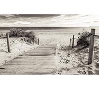 Forwall 2024V4 Papier peint photo non tissé Motif plage et mer Noir/blanc 254 x 184 cm