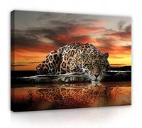 FORWALL images imprimées sur toile, Moderne, | Impression sur toile moderne grand format (XXL) pour chambre, salon, cuisine, couloir, décoration murale, tableau sur toile