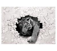 Forwall - Papier peint photo non tissé - Motif animaux de tigre - Noir et blanc - 254 x 184 cm - Papier peint photo - Pour salon et chambre à coucher - Effet 3D - Avec colle
