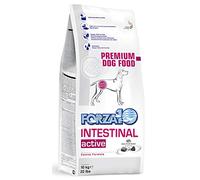Forza 10 Active Line intestinal Dry Dog kg. 10-Diète sèche pour Chiens, Multicolore, Unique