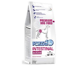 Forza 10 Active Line intestinal Dry Dog kg. 10-Diète sèche pour Chiens, Multicolore, Unique