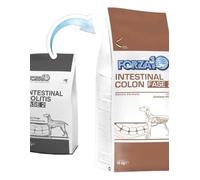 Forza 10 Chien Intestinal Colon Fase-2 4 KG