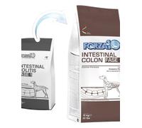 FORZA 10 Chien Intestinal Colon Phase-1 4 Kg