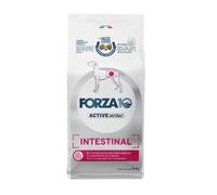 FORZA 10 Intestinal Active Régime nutraceutique pour les problèmes digestifs chez les chiens 10 kg