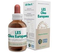 Forza Vitale Les Olea Europea Olivo 50ml Complément Alimentaire Métabolisme