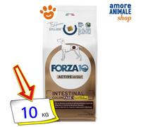 Forza10 Active VetDiet Intestinal Colon Phase 1 Agneau Et Sorgo Blanc 1,5/10 Kg