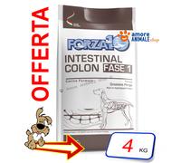 Forza10 Chien Actif → Intestinal Colon Phase 1 - 4 Kg - Pour Chien, Chiens