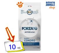 Forza10 Chien Actif VetDiet Chiot Condro Nourriture Sèche Chiens 10 Kg