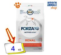 FORZA10 Dog ACTIVE Croquettes Pour Chien Pour Appareil Urinaire Sec 4 kg