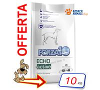 Forza10 Chien Active → Echo - 4/10 KG - Croquettes Pour Chien, Aliments Chiens
