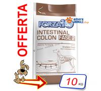 Forza10 Chien Active → Intestinal Colon Phase 2 - Sac De 10 KG - Pour Chien,