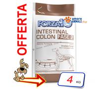 Forza10 Chien Active → Intestinal Colon Phase 2 - Sac De 4 KG - Pour Chien,
