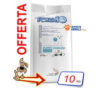 Forza10 Chien Active → Puppy Condro - 10 KG - Croquettes Pour Chien, Aliments