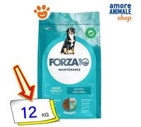 Forza10 Chien Adulte Entretien Maxi Poisson Nourriture Sèche Chiens 12 Kg