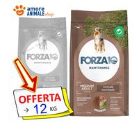 Forza10 Chien Maintenance → Agneau Et Riz - 12 KG - Medium Adult - Chiens, Chien