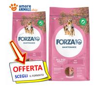 Forza10 Chien Maintenance Tout Taille → Porc - 2/12 KG - Croquettes Chiens,