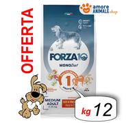 Forza10 Chien Monodiet → Cheval - Medium Adult - 12 KG - Nourriture Pour Chien,